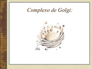 Complexo de Golgi:
 