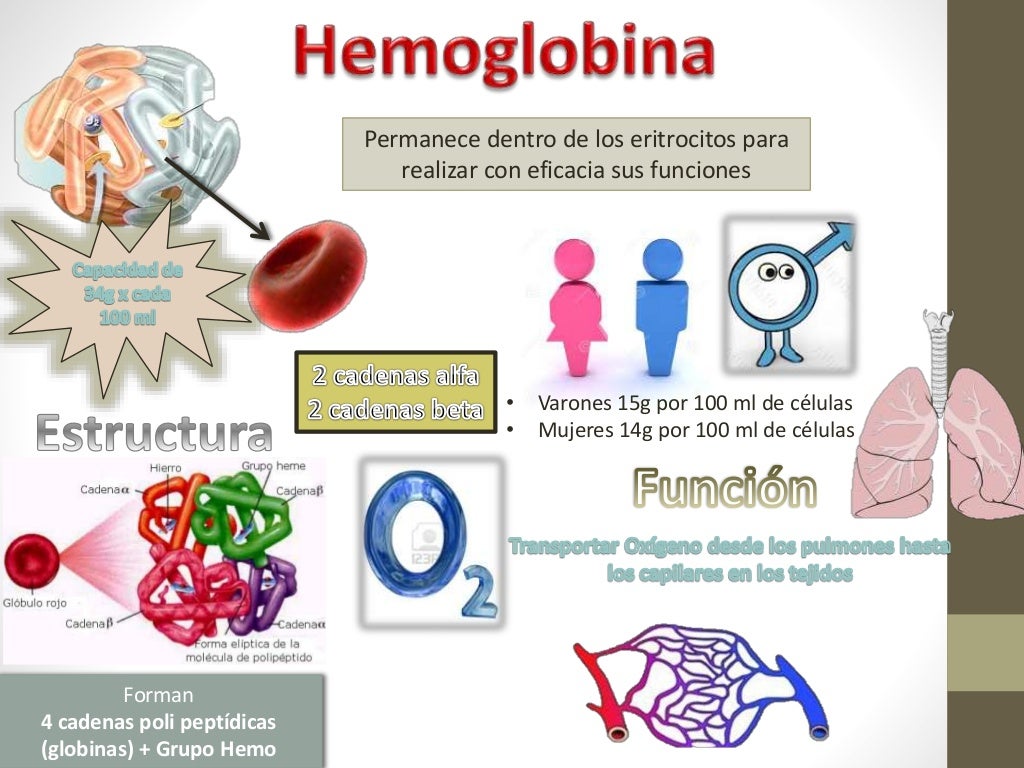 Síntesis de hemoglobina