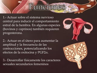 1.- Actuar sobre el sistema nervioso
central para inducir el comportamiento
estral de la hembra. En algunas especies
(bovinos y caprinos) también requieren
progesterona.
2.- Actuar en el útero para aumentar la
amplitud y la frecuencia de las
contracciones, potencializando los
efectos de la oxitocina y PGF2α.
3.- Desarrollar físicamente los caracteres
sexuales secundarios femeninos
 