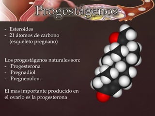 - Esteroides
- 21 átomos de carbono
(esqueleto pregnano)
Los progestágenos naturales son:
- Progesterona
- Pregnadiol
- Pregnenolon.
El mas importante producido en
el ovario es la progesterona
 