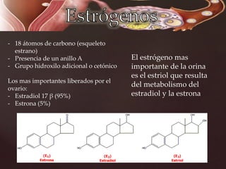 - 18 átomos de carbono (esqueleto
estrano)
- Presencia de un anillo A
- Grupo hidroxilo adicional o cetónico
Los mas importantes liberados por el
ovario:
- Estradiol 17 β (95%)
- Estrona (5%)
El estrógeno mas
importante de la orina
es el estriol que resulta
del metabolismo del
estradiol y la estrona
 