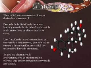 El estradiol, como otros esteroides, es
derivado del colesterol.
Después de la división de la cadena
lateral y usando la vía delta-5 o delta-4, la
androstenediona es el intermediario
clave.
Una fracción de la androstenediona en
convertida a testosterona, que a su vez se
somete a la conversión a estradiol por
una enzima llamada aromatasa.
En una vía alternativa, la
androstenediona es aromatizada a
estrona, que posteriormente es convertida
a estradiol.
 