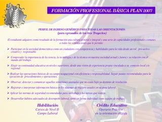 PERFIL DE EGRESO  GENÉRICO PARA TODAS LAS ORIENTACIONES : (para egresados de los tres Trayectos) El estudiante adquiere como resultado de la formación una cultura general e integral y una serie de capacidades profesionales comunes a todas las orientaciones que le permite: Participar en la sociedad democrática como un ciudadano con competencia y habilidades para la vida desde un rol  pro-activo creativo y  responsable.   Comprender la importancia de la ciencia, la tecnología y de la técnica en nuestra sociedad actual y futura y su relación con el  mundo del trabajo.  Elegir su continuidad educativa en niveles superiores, desde una visión de experiencia propia vinculada a su  contexto local y/o  regional.   Realizar las operaciones básicas de su campo ocupacional con eficiencia y responsabilidad. Seguir pautas recomendadas para la  ejecución de  procedimientos y operaciones.  Observar, detectar y comunicar aquellas situaciones anómalas que no están bajo su dominio de resolución.  Registrar e interpretar información básica en los sistemas de registro usuales en su área labora l.   Aplicar las normas de seguridad recomendadas para su trabajo y las tareas que realiza. . Desarrollar hábitos adecuados de desempeño laboral, tanto en forma individual como equipo de trabajo .   Crédito Educativo Operario Práctico  en la orientación elegida Habilitación Cursos de Nivel II  Campo Laboral FORMACIÓN PROFESIONAL BÁSICA PLAN 2007 