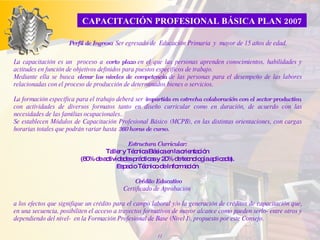 La capacitación es un  proceso a  corto plazo  en el que las personas aprenden conocimientos, habilidades y actitudes en función de objetivos definidos para puestos específicos de trabajo.  Mediante ella se busca  elevar los niveles de competencia  de las personas para el desempeño de las labores relacionadas con el proceso de producción de determinados bienes o servicios.  La formación específica para el trabajo deberá ser  impartida en estrecha colaboración con el sector productivo , con actividades de diversos formatos tanto en diseño curricular como en duración, de acuerdo con las necesidades de las familias ocupacionales.. Se  establecen Módulos de Capacitación Profesional Básico (MCPB), en las distintas orientaciones, con cargas horarias totales que podrán variar hasta  360 horas de curso.  Estructura Curricular:  Taller y Técnica Básica en la orientación  (80% de actividades prácticas y 20% de tecnología aplicada).  Espacio Técnico de Información  Crédito Educativo Certificado  de  A probación  a los efectos que signifique un crédito para el campo laboral y/o la generación de créditos de capacitación que, en una secuencia, posibiliten el acceso a trayectos formativos de mayor alcance como pueden serlo- entre otros y dependiendo del nivel-  en la Formación Profesional de Base (Nivel I), propuesto por este Consejo. Perfil de Ingreso : Ser egresado de  Educación Primaria  y  mayor de 15 años de edad. CAPACITACIÓN PROFESIONAL BÁSICA PLAN 2007 
