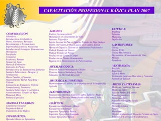 CAPACITACIÓN PROFESIONAL BÁSICA PLAN 2007 CONSTRUCCIÓN: Albañilería Introducción a la Albañilería Muros, Aberturas y Revoques Revestimientos y Terminaciones Impermeabilizaciones y Aislaciones Introducción al Hormigón: Cimentaciones Hormigones Encofrados Armaduras Escaleras y Rampas Tanques de Agua Muros de Contención Cabezales de Pilotes Introducción a las Instalaciones Sanitarias Sanitaria Subterránea - Desagües y Ventilaciones Hierro Fundido y Plomería Abastecimiento: Red de Agua Fría y Caliente Colocación de Artefactos y Grifería Nomenclatura y Normativa Sanitaria Subterránea: Fosa Séptica Abastecimientos: Tanques de Agua Pintura de Obra Pinturas Especiales MADERA Y MUEBLES: Carpintería Artesanal Carpintería Inicial Tratamiento de la Madera INFORMÁTICA: Operador Básico en Informática ESTÉTICA: Brushing Peinados Manicuría Depilación GASTRONOMÍA: Cocina Cocina WOK Cocina Macrobiótica Degustación y Conocimiento del Vino Minutas Panadería VESTIMENTA: Bordado Ropa Sport Tejido a Mano Vestimenta Autóctona Masculino y Femenino Aparado de Calzado   ARTES Y ARTESANÍAS: Moldes de Caucho de Silicona Moldes de Látex Talla en Piedra de Cantera Esmaltes para Gres Pastas para Gres Alfarería en Pequeña Escala Cerámica Herrería Artística Joyería Muralismo Objetos Artesanales de Pequeño Formato en Cuero Artículos de Cuero para Uso Doméstico. AGRARIO: Cultivos Agroenergéticos Degustación y Conocimiento del Vino Industria Frigorífica Injerto Invernal de Púa en Especies Frutales de Hoja Caduca Injerto en Frutales de Hoja Caduca en el Cultivo Estival Operación Segura y Eficiente de Motosierras Profesionales Poda de Frutales de Carozo Poda de Frutales de Pepita Producción de Cerdos a Campo Producción de Plantas Ornamentales Reparación y Mantenimiento de Pulverizadoras METALMECÁNICA: Procesos Básicos Metalúrgicos y Soldeo Procesos Básicos Soldadura y Forja Soldadura en Electrodo Revestido MECÁNICA AUTOMOTRIZ: Mantenimiento del Motor y de la Reparación de la Maquinaria Agrícola  ELECTRICIDAD: Instalaciones Eléctricas Exteriores sobre Tableros  Madera Instalaciones Eléctricas Domiciliarias sobre muro 3.3 Kw. GRÁFICOS: Encuadernación Dorado - Básico Encuadernación Dorado Impresión Tipográfica Básica Impresión Tipográfica Avanzada Armado Tipográfico Básico   