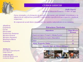 Albañilería Carpintería Cocina Electricidad Instalaciones Sanitarias Mecánica General Mecánica Automotriz Metalúrgica Básica Vestimenta Habilitación: Curso Básico Especialización Campo Laboral Crédito Educativo Certificado Operario en la orientación elegida C ursos   destinados a la formación de operarios cuyo acento está orientado esencialmente a la adquisición de calificaciones prácticas y conocimientos específicos de una ocupación o familia de ocupaciones. Se componen de un año básico integrado por dos módulos independientes en su  evaluación. Estructura Curricular Perfil d Ingreso 6to año de Educación Primaria y 15 años  de edad CURSOS BÁSICOS 24 Horas  Semanales Totales Duración Total del Módulo   320 horas 20 Taller 2 Espacio de Apoyo Formativo Matemática 2 Espacio de Apoyo Formativo Idioma Español Carga Horaria Semanal A signaturas 