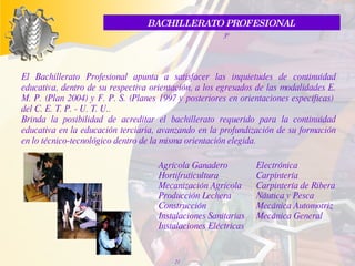 BACHILLERATO PROFESIONAL  3º El Bachillerato Profesional apunta a satisfacer las inquietudes de continuidad educativa, dentro de su respectiva orientación, a los egresados de las modalidades E. M. P. (Plan 2004) y F. P. S. (Planes 1997 y posteriores en orientaciones específicas)  del C. E. T. P. - U. T. U..  Brinda la posibilidad de acreditar el bachillerato  requerido para la continuidad educativa en la educación terciaria,  avanzando en la profundización de su formación en lo técnico-tecnológico dentro de la misma orientación elegida.   Agrícola Ganadero Hortifruticultura Mecanización Agrícola Producción Lechera Construcción Instalaciones Sanitarias Instalaciones Eléctricas Electrónica Carpintería Carpintería de Ribera Náutica y Pesca Mecánica Automotriz Mecánica General 