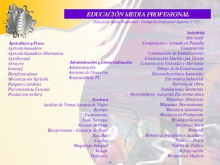 Agricultura y Pesca Agrícola Ganadero Agrícola Ganadero Alternancia Agroforestal  Arrocero Forestal Hortifruticultura Mecanización Agrícola Parques y Jardines Prevencionista Forestal Producción lechera Servicios Auxiliar de Ventas Agencia de Viajes Barman Gastronomía Guía Turístico Gestión de Pyme Recepcionista – Conserje de Hotel Sala Bar Capilar Maquillaje Integral Masaje Pedicuría Industrial Arte textil  Composición y Armado en Pantalla Construcción Construcción de Embarcaciones Construcción Muebles por Diseño Construcción Viviendas y Aberturas  Dibujo de la Construcción  Electroelectrónica Automotriz Electrónica Industrial  Herrería de Obra  Instalaciones Sanitarias   Mantenimiento Industrial Electromecánico Máquinas  Eléctricas  Máquinas  Herramientas  Mecánica Automotriz  Mecánica en Producción  Mecánica General  Mecánica Naval Mineríal  Motores a propulsión y Auxiliares Náutica y Pesca  Patrón de Tráfico  Refrigeración  Restauro en Madera  EDUCACIÓN MEDIA PROFESIONAL (Educación Media Profesional - Formación Profesional Superior 1º 2º) Administración y Comercialización Administración Asistente de Dirección Reparación de PC 