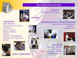 AD MINISTRACIÓN  y   C OMERCIALIZACIÓN Administración Comercialización Informática Comunicaciones INDUSTRIAL Metal Mecánica Electrotecnia y Electrónica Vestimenta Cuero y Calzado Madera y Muebles Gráficos Química y Termodinámica Construcción y Arquitectura Minería GENERAL Ciclo Básico Tecnológico SERVICIOS Hotelería y Turismo Gastronomía Servicios Personales Estética Seguridad e Higiene ARTES Y ARTESANÍAS AGRARIO SECTORES DE ESTUDIO  