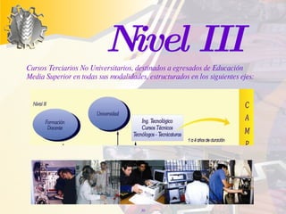 Cursos Terciarios No Universitarios, destinados a egresados de Educación Media Superior en todas sus modalidades, estructurados en los siguientes ejes:  Nivel III 