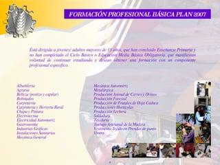 Está dirigida a jóvenes/ adultos mayores de 15 años, que han concluido Enseñanza Primaria y no han completado el Ciclo Básico o Educación Media Básica Obligatoria, que manifiestan voluntad de continuar estudiando y desean obtener una formación con un componente profesional específico.   Albañilería Agraria Belleza (postizo y capilar) Bobinados Carpintería Carpintería y Herrería Rural Chapa y Pintura Electrotecnia Electricidad Automotriz Gastronomía Industrias Gráficas Instalaciones Sanitarias Mecánica General Mecánica Automotriz Metalúrgica Producción Animal de Carnes y Ovinos Producción Forestal Producción de Frutales de Hoja Caduca Producciones Hortícolas Producción Lechera Soldadura Tejeduría Trabajo Artesanal de la Madera Vestimenta Tejido en Prendas de punto Vivero   FORMACIÓN PROFESIONAL BÁSICA PLAN 2007  