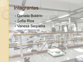 Integrantes
Daniela Boldrín
 Sofía Rios
 Vanesa Sequeira


 