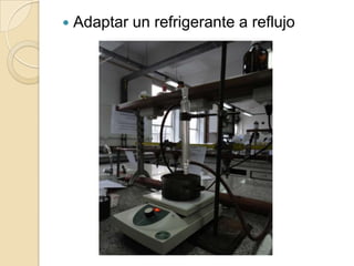 

Adaptar un refrigerante a reflujo

 
