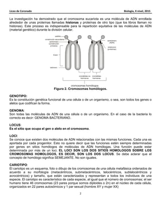Liceo de Coronado Biología, X nivel, 2015
2
La investigación ha demostrado que el cromosoma eucariota es una molécula de ADN enrollada
alrededor de unas proteínas llamadas histonas y proteínas de otro tipo (que los libros llaman no
histonas). Este proceso es indispensable para la repartición equitativa de las moléculas de ADN
(material genético) durante la división celular.
Figura 2. Cromosomas homólogos.
GENOTIPO:
Es la constitución genética funcional de una célula o de un organismo, o sea, son todos los genes o
alelos que codifican la forma.
GENOMA:
Son todas las moléculas de ADN de una célula o de un organismo. En el caso de la bacteria lo
correcto es decir: GENOMA BACTERIANO.
LOCUS:
Es el sitio que ocupa el gen o alelo en el cromosoma.
LOCI:
Se conoce que existen dos moléculas de ADN relacionadas con las mismas funciones. Cada una es
aportada por cada progenitor. Esto no quiere decir que las funciones estén siempre determinadas
por genes en sitios homólogos de moléculas de ADN homólogas. Una función puede estar
determinada por más de un loci. EL LOCI SON LOS DOS SITIOS HOMOLOGOS SOBRE LOS
CROMOSOMAS HOMOLOGOS, ES DECIR, SON LOS DOS LOCUS. Se debe aclarar que el
concepto de homólogo significa SEMEJANTE. No son iguales.
CARIOTIPO:
El cariotipo es un esquema, foto o dibujo de los cromosomas de una célula metafásica ordenados de
acuerdo a su morfología (metacéntricos, submetacéntricos, telocéntricos, subtelocéntricos y
acrocéntricos) y tamaño, que están caracterizados y representan a todos los individuos de una
especie. El cariotipo es característico de cada especie, al igual que el número de cromosomas; el ser
humano tiene 46 cromosomas (23 pares porque somos diploides o 2n) en el núcleo de cada célula,
organizados en 22 pares autosómicos y 1 par sexual (hombre XY y mujer XX)
 
