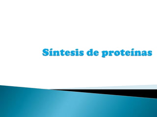 Síntesis de proteínas 