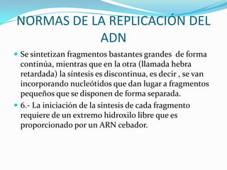 NORMAS DE LA REPLICACIÓN DEL
           ADN
 Se sintetizan fragmentos bastantes grandes de forma
  continúa, mientras que en la otra (llamada hebra
  retardada) la síntesis es discontinua, es decir , se van
  incorporando nucleótidos que dan lugar a fragmentos
  pequeños que se disponen de forma separada.
 6.- La iniciación de la síntesis de cada fragmento
  requiere de un extremo hidroxilo libre que es
  proporcionado por un ARN cebador.
 