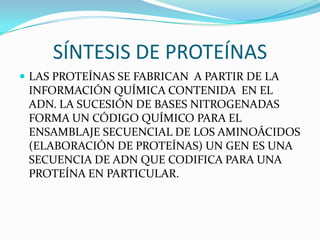 SÍNTESIS DE PROTEÍNAS
 LAS PROTEÍNAS SE FABRICAN A PARTIR DE LA
 INFORMACIÓN QUÍMICA CONTENIDA EN EL
 ADN. LA SUCESIÓN DE BASES NITROGENADAS
 FORMA UN CÓDIGO QUÍMICO PARA EL
 ENSAMBLAJE SECUENCIAL DE LOS AMINOÁCIDOS
 (ELABORACIÓN DE PROTEÍNAS) UN GEN ES UNA
 SECUENCIA DE ADN QUE CODIFICA PARA UNA
 PROTEÍNA EN PARTICULAR.
 