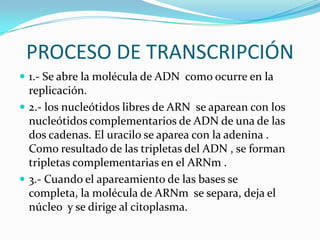 PROCESO DE TRANSCRIPCIÓN
 1.- Se abre la molécula de ADN como ocurre en la
  replicación.
 2.- los nucleótidos libres de ARN se aparean con los
  nucleótidos complementarios de ADN de una de las
  dos cadenas. El uracilo se aparea con la adenina .
  Como resultado de las tripletas del ADN , se forman
  tripletas complementarias en el ARNm .
 3.- Cuando el apareamiento de las bases se
  completa, la molécula de ARNm se separa, deja el
  núcleo y se dirige al citoplasma.
 
