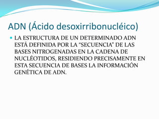 ADN (Ácido desoxirribonucléico)
 LA ESTRUCTURA DE UN DETERMINADO ADN
 ESTÁ DEFINIDA POR LA “SECUENCIA” DE LAS
 BASES NITROGENADAS EN LA CADENA DE
 NUCLÉOTIDOS, RESIDIENDO PRECISAMENTE EN
 ESTA SECUENCIA DE BASES LA INFORMACIÓN
 GENÉTICA DE ADN.
 