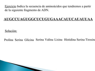 Ejercicio Indica la secuencia de aminoácidos que tendremos a partir
de la siguiente fragmento de ADN.

AUGCCUAGUGGCUCUGUGAAACAUUCAUAUUAA
Solución:

Prolina Serina Glicina Serina Valina Lisina Histidina Serina Tirosina

 