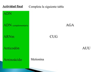 Actividad final

Completa la siguiente tabla

ADN
ADN complementario

AGA

ARNm

CUG

Anticodón
Aminoácido

AUU
Metionina

 