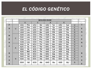EL CÓDIGO GENÉTICO

 