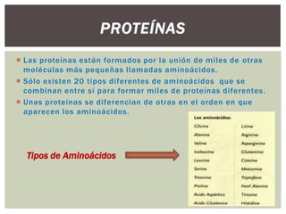 PROTEÍNAS
 Las proteínas están formados por la unión de miles de otras
moléculas más pequeñas llamadas aminoácidos.
 Sólo existen 20 tipos diferentes de aminoácidos que se
combinan entre sí para formar miles de proteínas diferentes .
 Unas proteínas se diferencian de otras en el orden en que
aparecen los aminoácidos.

Tipos de Aminoácidos

 