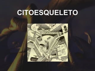 CITOESQUELETO 