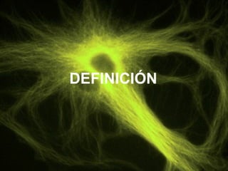 DEFINICIÓN 