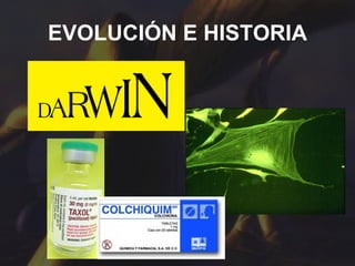 EVOLUCIÓN E HISTORIA 