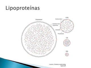 Lucero. Síntesis esteroidea.
Speeroff.
 