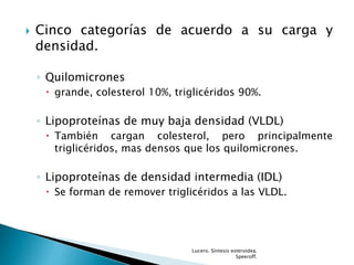  Cinco categorías de acuerdo a su carga y
densidad.
◦ Quilomicrones
 grande, colesterol 10%, triglicéridos 90%.
◦ Lipoproteínas de muy baja densidad (VLDL)
 También cargan colesterol, pero principalmente
triglicéridos, mas densos que los quilomicrones.
◦ Lipoproteínas de densidad intermedia (IDL)
 Se forman de remover triglicéridos a las VLDL.
Lucero. Síntesis esteroidea.
Speeroff.
 
