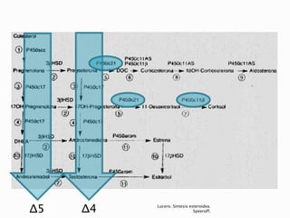 Δ5 Δ4 Lucero. Síntesis esteroidea.
Speeroff.
 