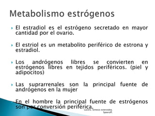  El estradiol es el estrógeno secretado en mayor
cantidad por el ovario.
 El estriol es un metabolito periférico de estrona y
estradiol.
 Los andrógenos libres se convierten en
estrógenos libres en tejidos periféricos. (piel y
adipocitos)
 Las suprarrenales son la principal fuente de
andrógenos en la mujer
 En el hombre la principal fuente de estrógenos
son por conversión periférica.Lucero. Síntesis esteroidea.
Speeroff.
 