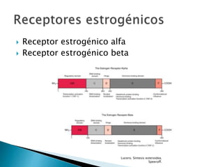  Receptor estrogénico alfa
 Receptor estrogénico beta
Lucero. Síntesis esteroidea.
Speeroff.
 