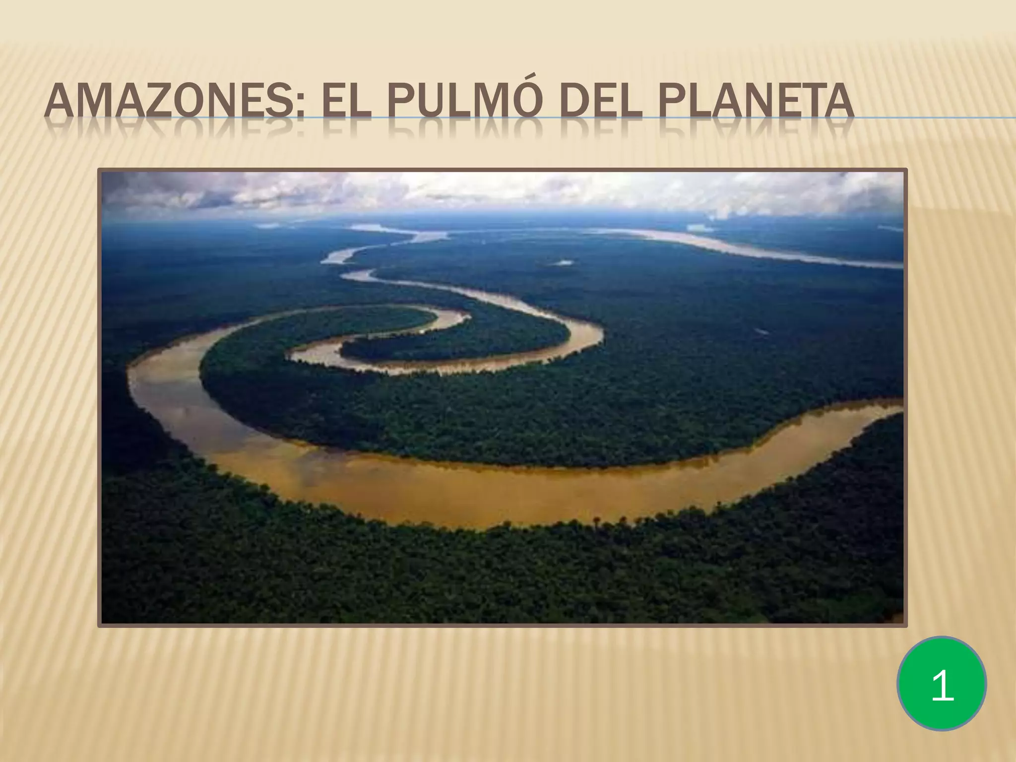 AMAZONES: EL PULMÓ DEL PLANETA
1
 
