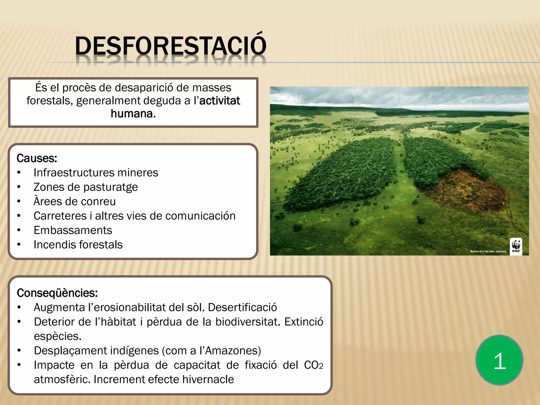 DESFORESTACIÓ
És el procès de desaparició de masses
forestals, generalment deguda a l’activitat
humana.
1
Causes:
• Infraestructures mineres
• Zones de pasturatge
• Àrees de conreu
• Carreteres i altres vies de comunicación
• Embassaments
• Incendis forestals
Conseqüències:
• Augmenta l’erosionabilitat del sòl. Desertificació
• Deterior de l’hàbitat i pèrdua de la biodiversitat. Extinció
espècies.
• Desplaçament indígenes (com a l’Amazones)
• Impacte en la pèrdua de capacitat de fixació del CO2
atmosfèric. Increment efecte hivernacle
 