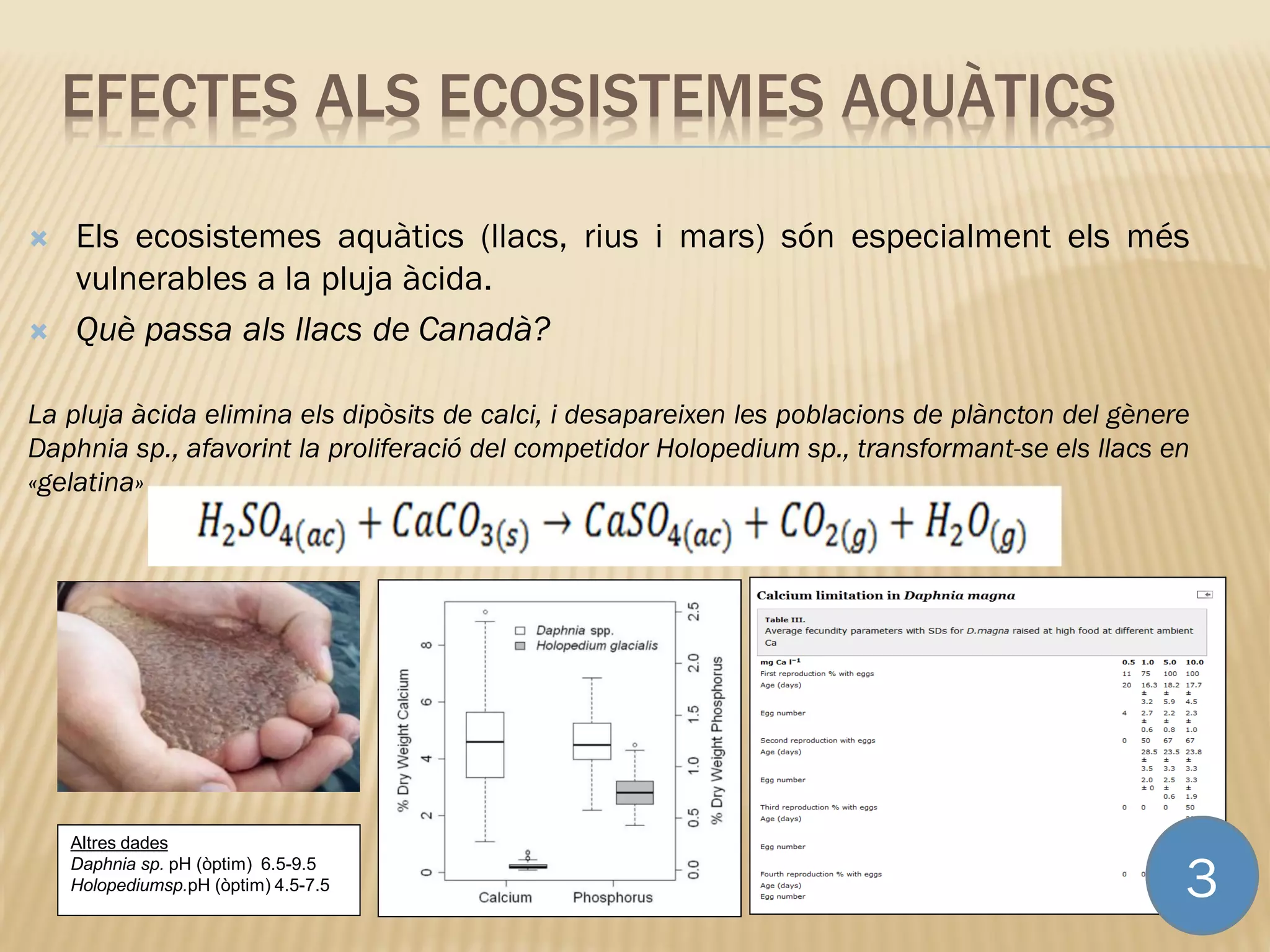 Els ecosistemes aquàtics (llacs, rius i mars) són especialment els més
vulnerables a la pluja àcida.
 Què passa als llacs de Canadà?
La pluja àcida elimina els dipòsits de calci, i desapareixen les poblacions de plàncton del gènere
Daphnia sp., afavorint la proliferació del competidor Holopedium sp., transformant-se els llacs en
«gelatina»
EFECTES ALS ECOSISTEMES AQUÀTICS
Altres dades
Daphnia sp. pH (òptim) 6.5-9.5
Holopediumsp.pH (òptim) 4.5-7.5 3
 