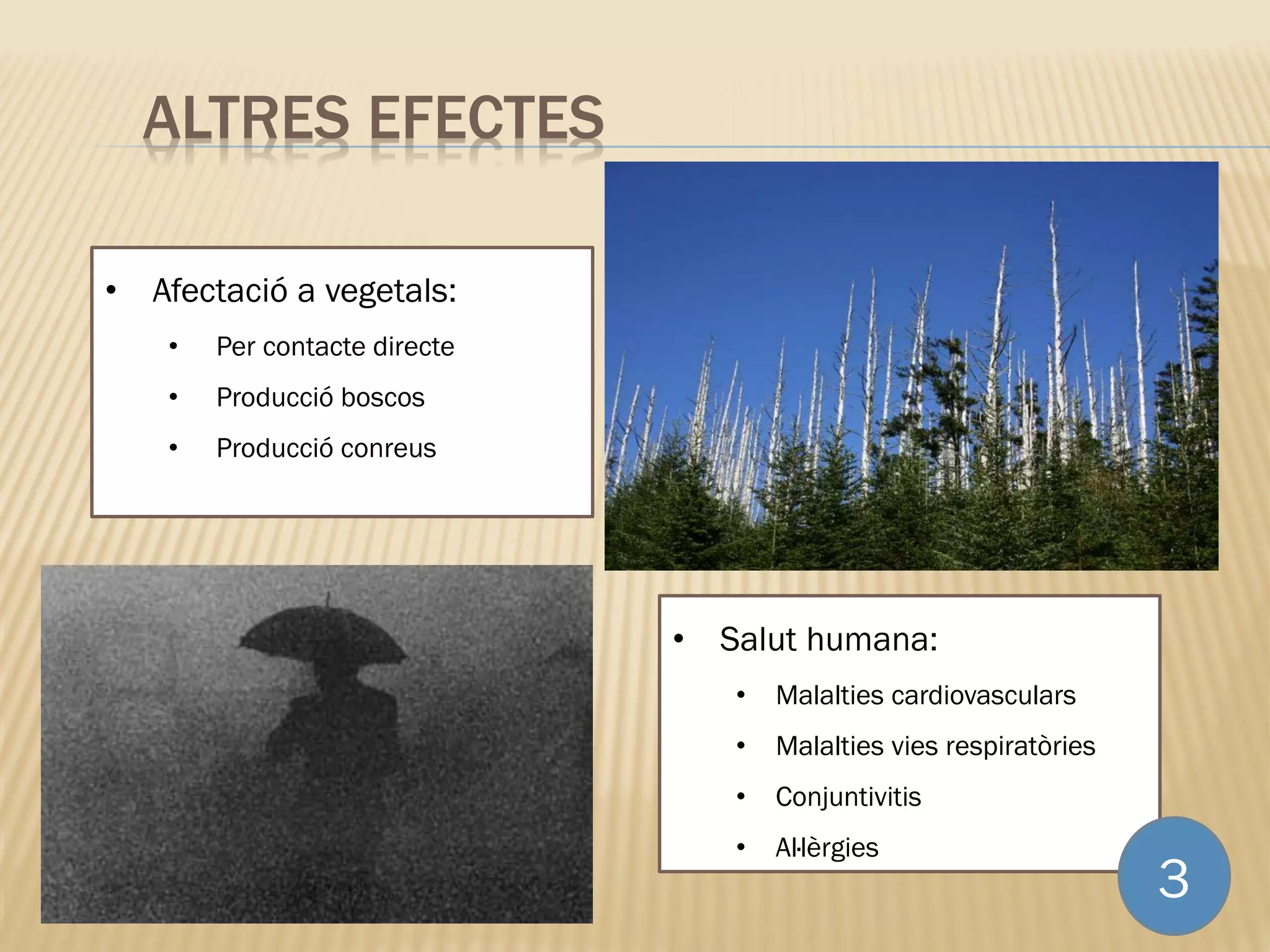 ALTRES EFECTES
• Afectació a vegetals:
• Per contacte directe
• Producció boscos
• Producció conreus
• Salut humana:
• Malalties cardiovasculars
• Malalties vies respiratòries
• Conjuntivitis
• Al·lèrgies
3
 
