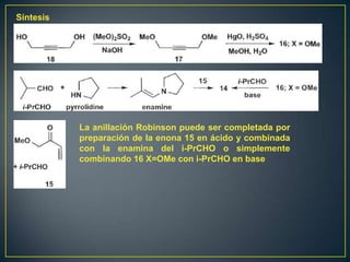 Síntesis




           La anillación Robinson puede ser completada por
           preparación de la enona 15 en ácido y combinada
           con la enamina del i-PrCHO o simplemente
           combinando 16 X=OMe con i-PrCHO en base
 
