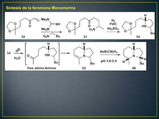 Síntesis de la feromona Monomorina
 