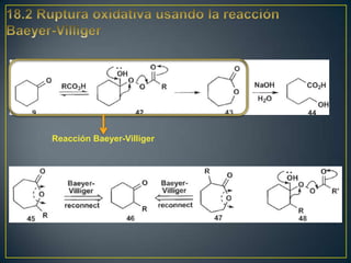 Reacción Baeyer-Villiger
 