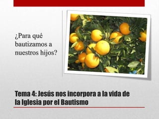 ¿Para qué
bautizamos a
nuestros hijos?




Tema 4: Jesús nos incorpora a la vida de
la Iglesia por el Bautismo
 
