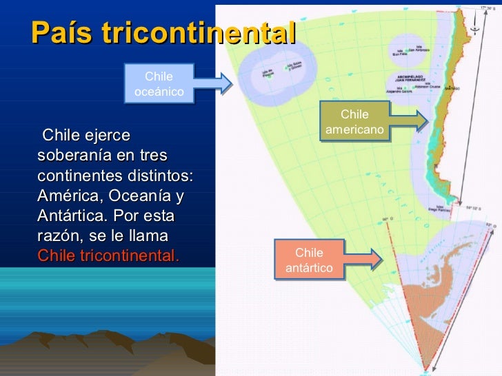 Síntesis unidad