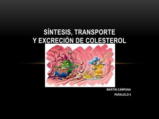 MARTIN CAMPANA
PARALELO 4
SÍNTESIS, TRANSPORTE
Y EXCRECIÓN DE COLESTEROL
 