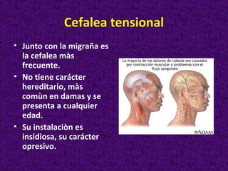 Cefalea tensional
• Junto con la migraña es
  la cefalea màs
  frecuente.
• No tiene carácter
  hereditario, màs
  comùn en damas y se
  presenta a cualquier
  edad.
• Su instalaciòn es
  insidiosa, su carácter
  opresivo.
 