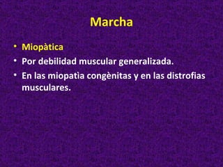 Marcha
• Miopàtica
• Por debilidad muscular generalizada.
• En las miopatìa congènitas y en las distrofias
  musculares.
 