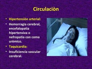 Circulaciòn
• Hipertensiòn arterial:
• Hemorragia cerebral,
  encefalopatìa
  hipertensiva o
  nefropatìa con coma
  urèmico.
• Taquicardia:
• Insuficiencia vascular
  cerebral.
 