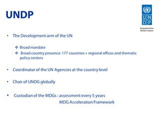 UNDP
 