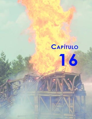 CAPÍTULO
16
 